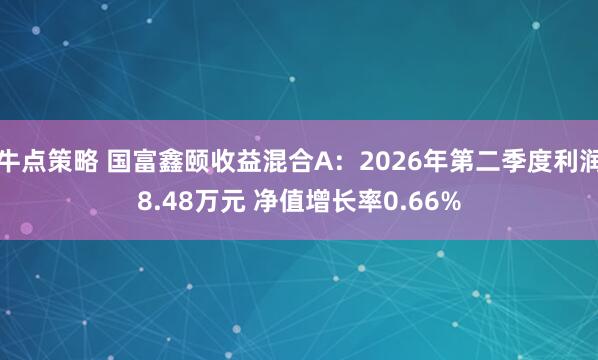 牛点策略 国富鑫颐收益混合A：2026年第二季度利润8.48万元 净值增长率0.66%